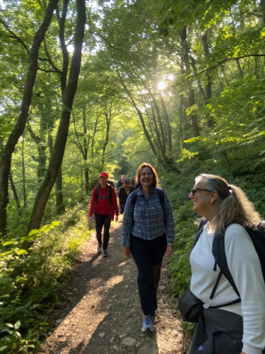 A group of hikers enjoying a leisurely walk through a sun-dappled forest in Haute-Vienne, with tall trees and vibrant green foliage surrounding them.